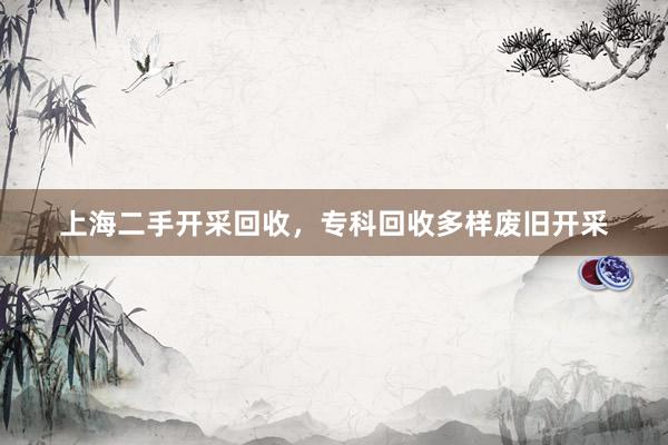 上海二手开采回收，专科回收多样废旧开采