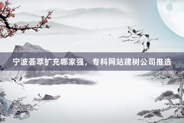宁波荟萃扩充哪家强，专科网站建树公司推选