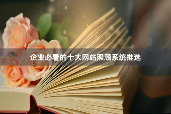 企业必看的十大网站照顾系统推选