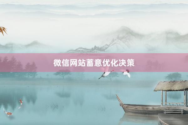 微信网站蓄意优化决策