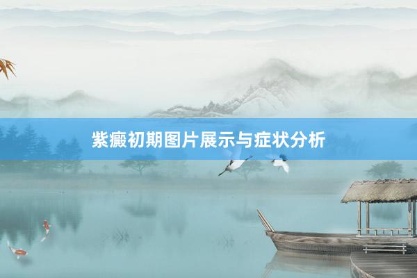 紫癜初期图片展示与症状分析