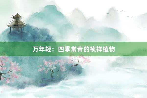 万年轻：四季常青的祯祥植物