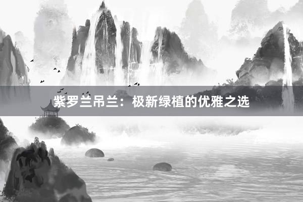 紫罗兰吊兰：极新绿植的优雅之选