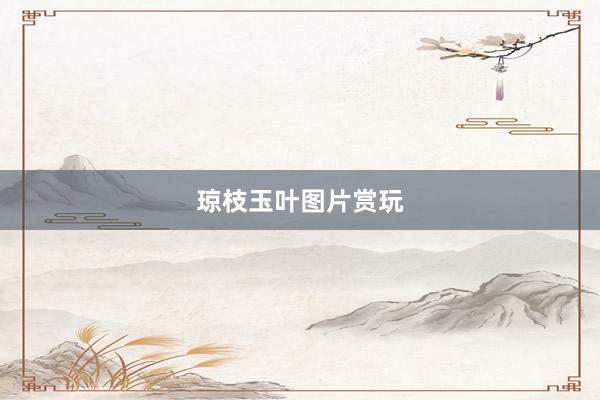 琼枝玉叶图片赏玩